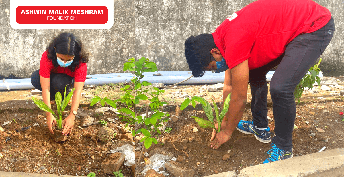 Tree Plantation Drive Conducted at Andheri by AMM Foundation.